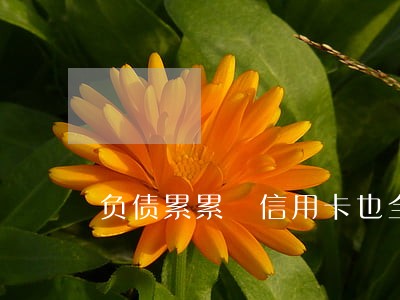 负债累累 信用卡也全部逾期 负债累累 信用卡也全部逾期